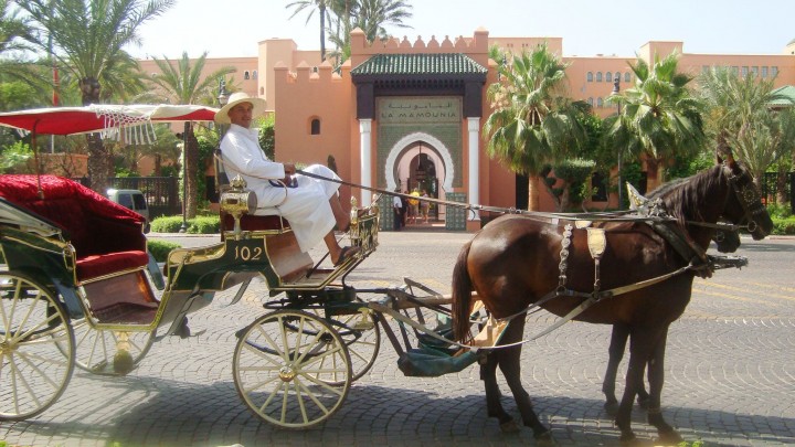 MARRAKECH HORSE CARRIAGE…