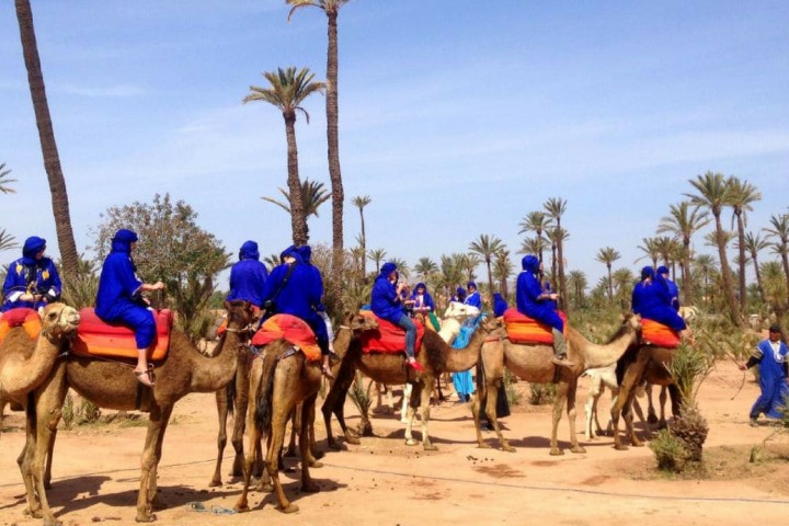 CAMEL RIDE