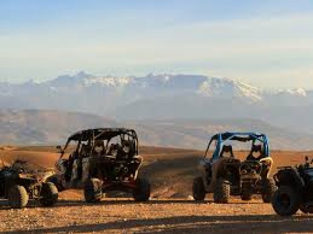 DESERT BUGGY TOUR